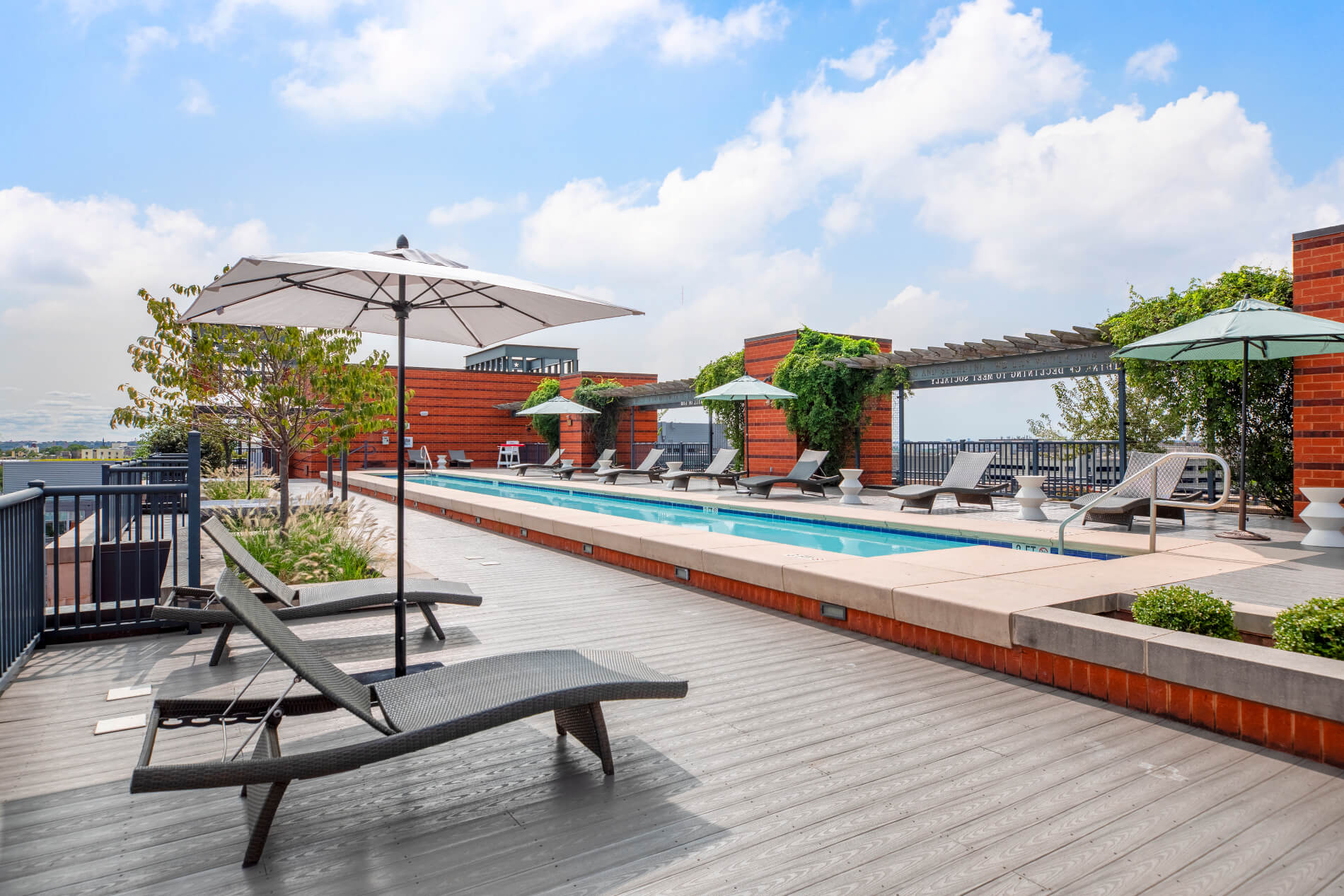 Rooftop pool with ample seating, umbrellas and growing vines