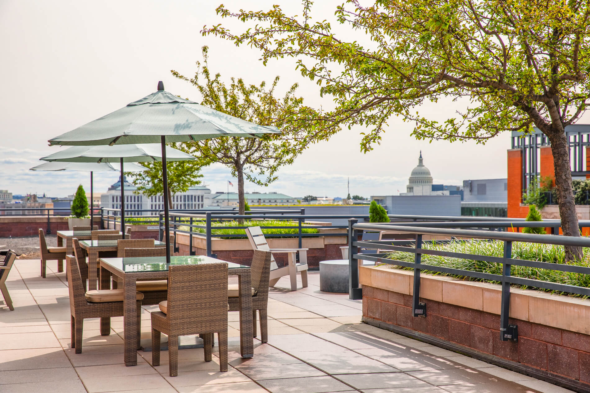 Rooftop tables and umbrellas with view of Capitol dome in background